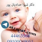 دکتر شیوا حدادیان پور     جراح و متخصص زنان و زایمان دارای ب