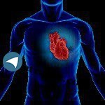 Cardiovascular Dr. Hassan Vazirian Cardiovascular Specialist. Jeyon's office) 55767547 (Contract with ... Dr. Hassan Vazirian Cardiovascular Specialist. Jeyon's Cardiovascular Dr. Hassan Vazirian Cardiovascular Specialist