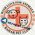 Veterinary Clinic Spring Address: Tehran-Hemmat highway west-Sattari south-Laleh Blvd. Address: Tehran-West Hemat highway -Satari south-Laleh Blvd.
Clinic Phone Veterinary Clinic Spring Address: Tehran-Hemmat highway west
