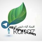 کلینیک گیاه درمانی کارساز آدرس:کرمانشاه،شهرک الهیه،بلوار شاه